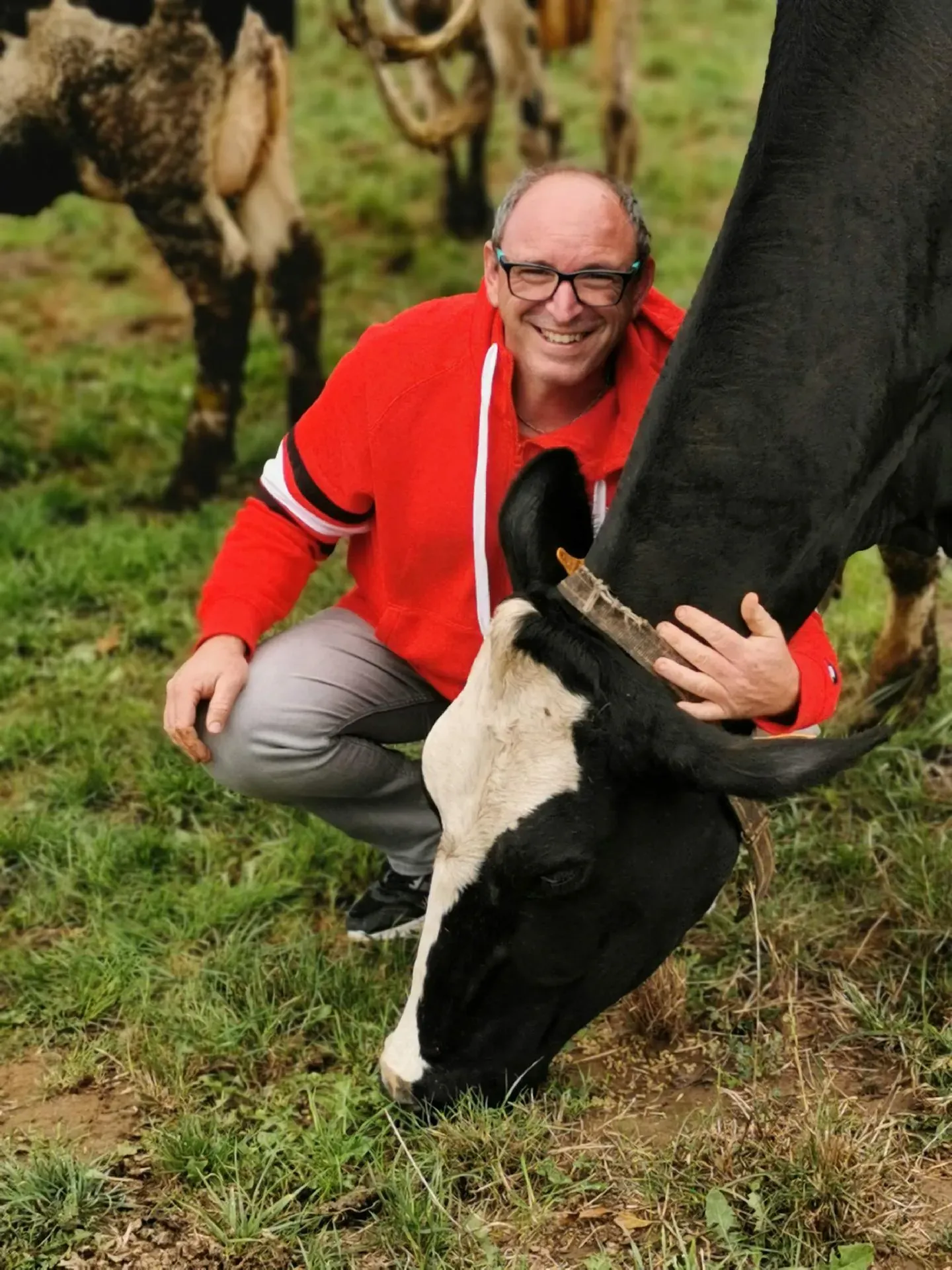 Un agriculteur auprès d'une vache