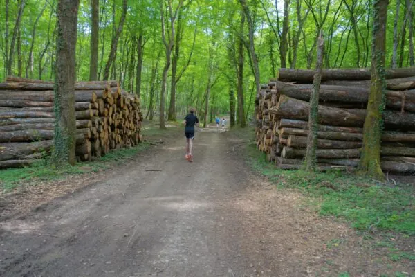 Man running on a forest path between log piles